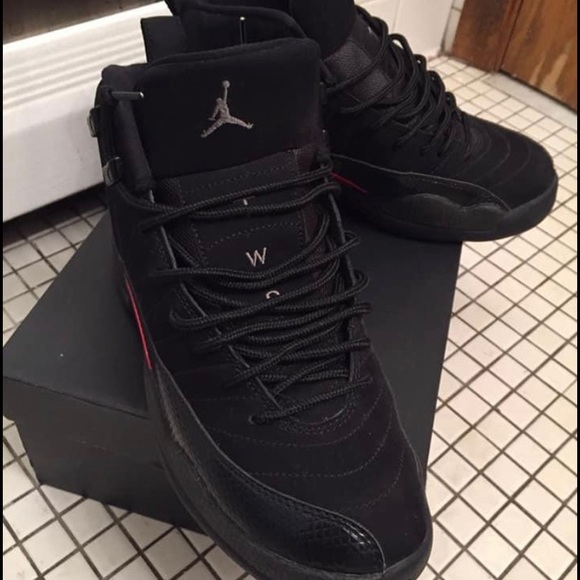 Air Jordan 12s - Picture 3 of 4